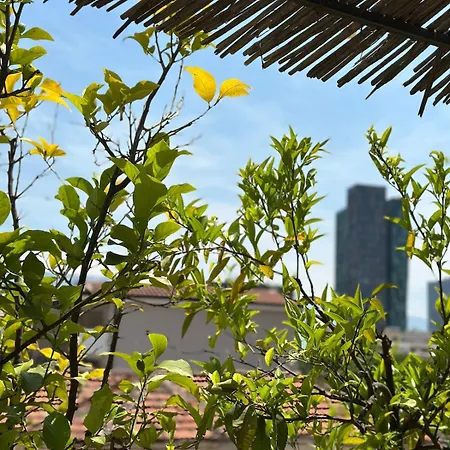 The Urban Garden Apartment Tirana