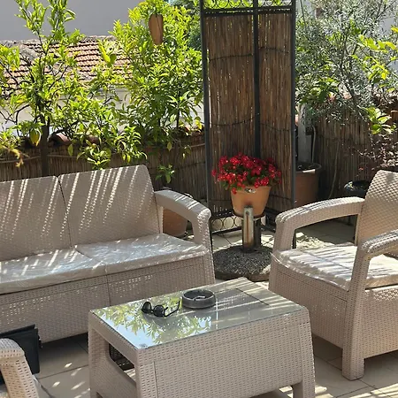 The Urban Garden *